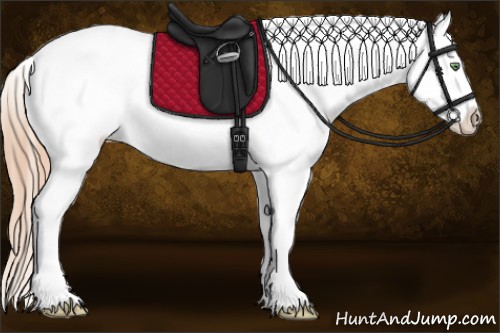 Horse Color:Gold Champagne Dun Blanket