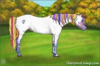 Horse Color:Painted Watercolor Silver Bay Dun Appaloosa 