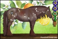 Horse Color:White Spotted Chocolate Black 