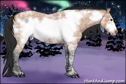 Horse Color:Bay Ice Roan Frame 