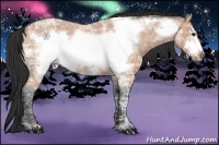 Horse Color:Bay Ice Roan Frame 