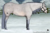 Horse Color:Watercolor Bay Roan 