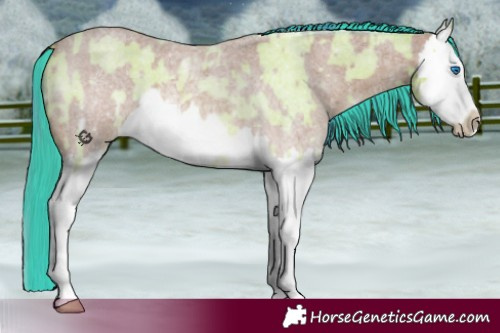 Horse Color:Watercolor Bay Roan Splash Frame and Watercolor Bay Roan Splash