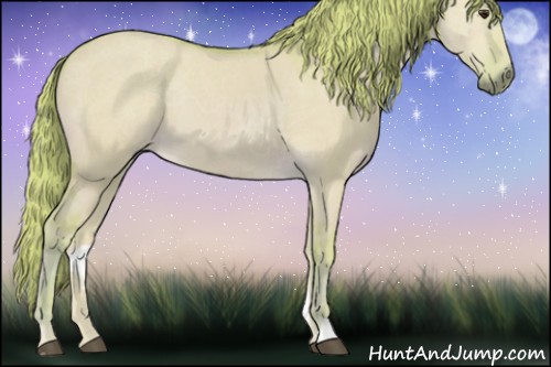 Horse Color:Watercolor Red Dun 