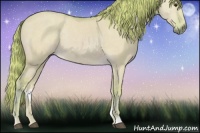 Horse Color:Watercolor Red Dun 