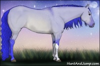 Horse Color:Watercolor Brown Dun 