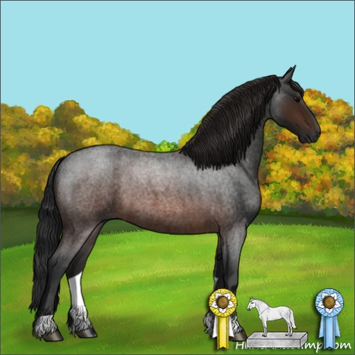 Horse Color:Gray Brown Roan 