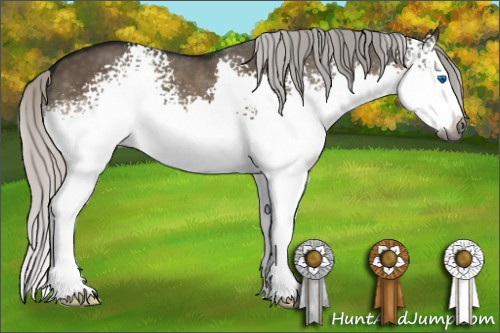 Horse Color:Gray White Spotted Silver Smoky Grullo Splash 