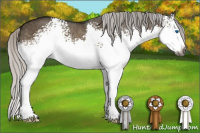 Horse Color:Gray White Spotted Silver Smoky Grullo Splash 