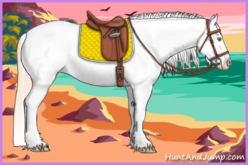 Horse Color:White Spotted Gold Champagne Blanket