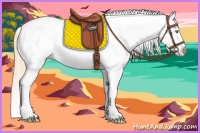 Horse Color:White Spotted Gold Champagne Blanket