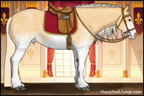 Horse Color:White Spotted Palomino Roan 