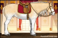 Horse Color:White Spotted Palomino Roan 