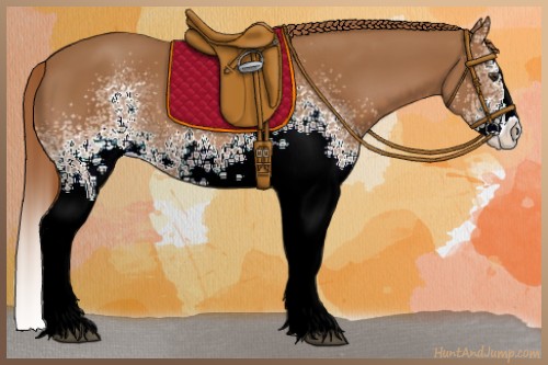 Horse Color:White Spotted Chestnut Splash