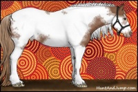 Horse Color:Chestnut Tobiano Frame Rabicano