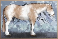Horse Color:White Spotted Red Dun 