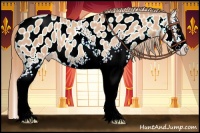Horse Color:White Spotted Gold Champagne Splash Appaloosa 
