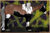 Horse Color:Chestnut Sabino Splash Rabicano and Bay Splash Rabicano