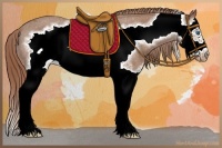 Horse Color:Red Roan Splash Frame Appaloosa