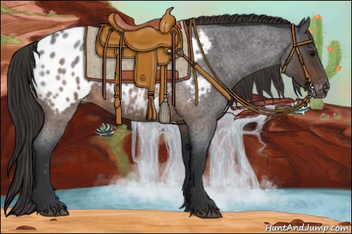 Horse Color:Brown Roan Appaloosa 