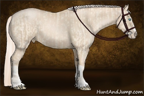 Horse Color:Cremello Splash  and Palomino Pearl Splash 