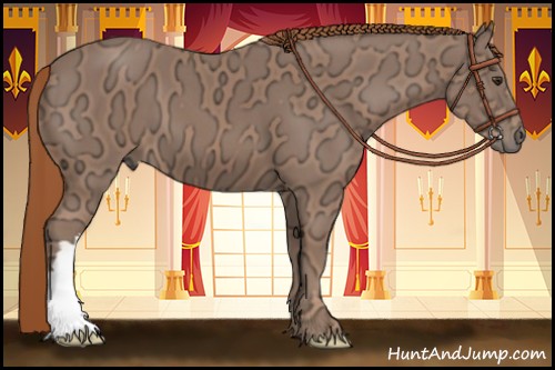 Horse Color:Chestnut Ice 