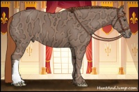 Horse Color:Chestnut Ice 