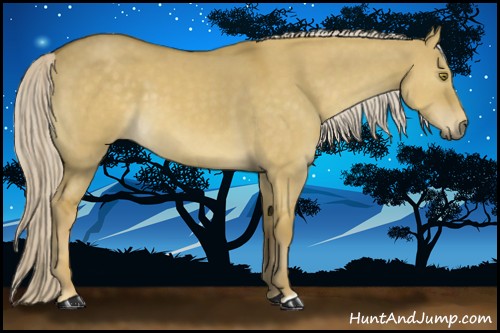 Horse Color:Palomino Dun 