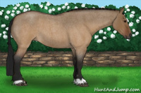 Horse Color:Gray Brown Roan Dun 