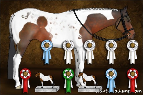 Horse Color:Brown Tobiano 