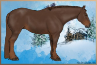 Horse Color:Gray Chestnut 