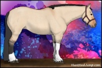 Horse Color:Bay Roan Dun Tobiano