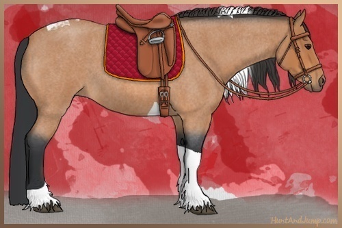 Horse Color:Bay Roan Tobiano