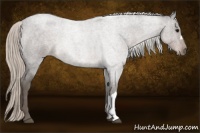 Horse Color:Silver Blue Roan 