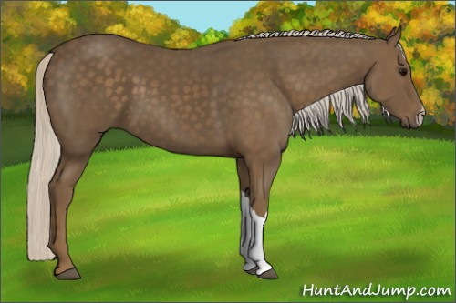 Horse Color:Silver Black 