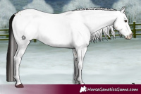 Horse Color:White Spotted Liver Red Dun 