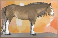 Horse Color:White Spotted Chocolate Palomino Roan Splash 