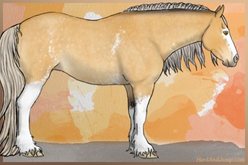Horse Color:White Spotted Silver Buckskin Roan 