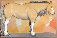 Horse Color:White Spotted Silver Buckskin Roan 