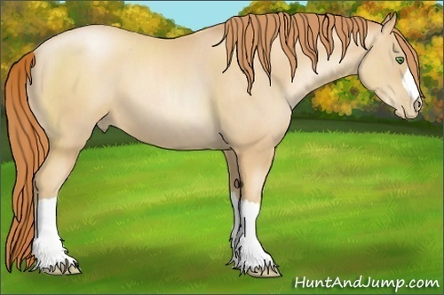 Horse Color:Classic Champagne Pearl 