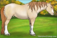 Horse Color:Classic Champagne Pearl 
