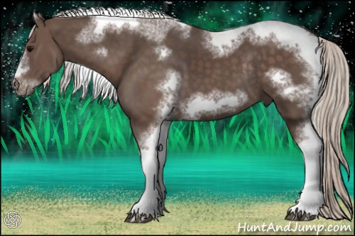Horse Color:Silver Black Sabino Tobiano Frame Rabicano 