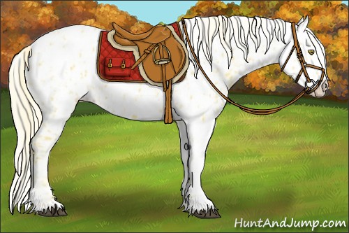 Horse Color:Palomino Near Leopard  and Palomino Near Leopard 