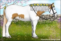 Horse Color:Chestnut Splash Tobiano