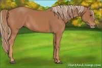 Horse Color:Chestnut Frame
