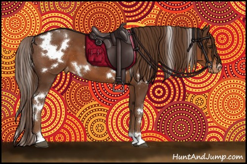 Horse Color:White Spotted Liver Chestnut Appaloosa 