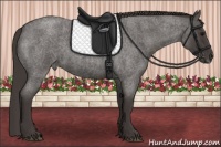 Horse Color:Smoky Blue Roan Frame 