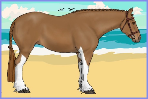 Horse Color:Chestnut Tobiano