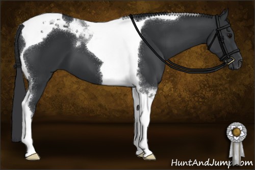 Horse Color:Black Tobiano 