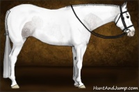 Horse Color:Brown Splash Tobiano